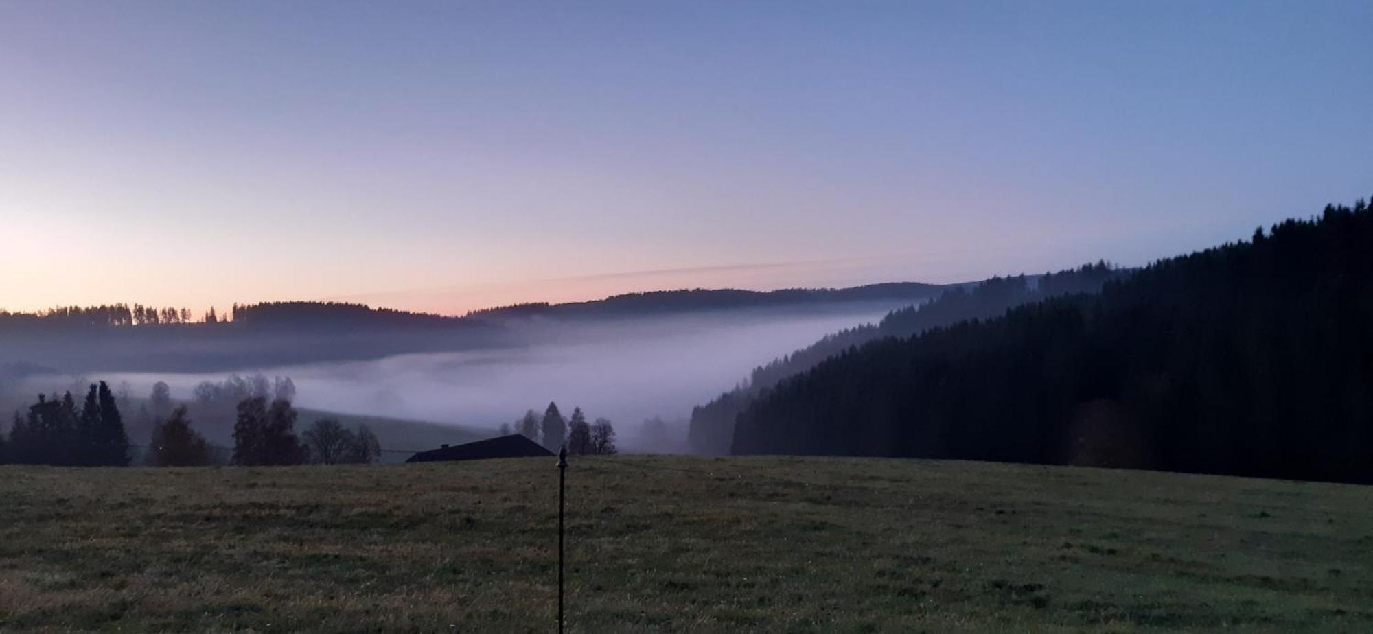 Oberengenbachhof Leilighet Eisenbach  Eksteriør bilde